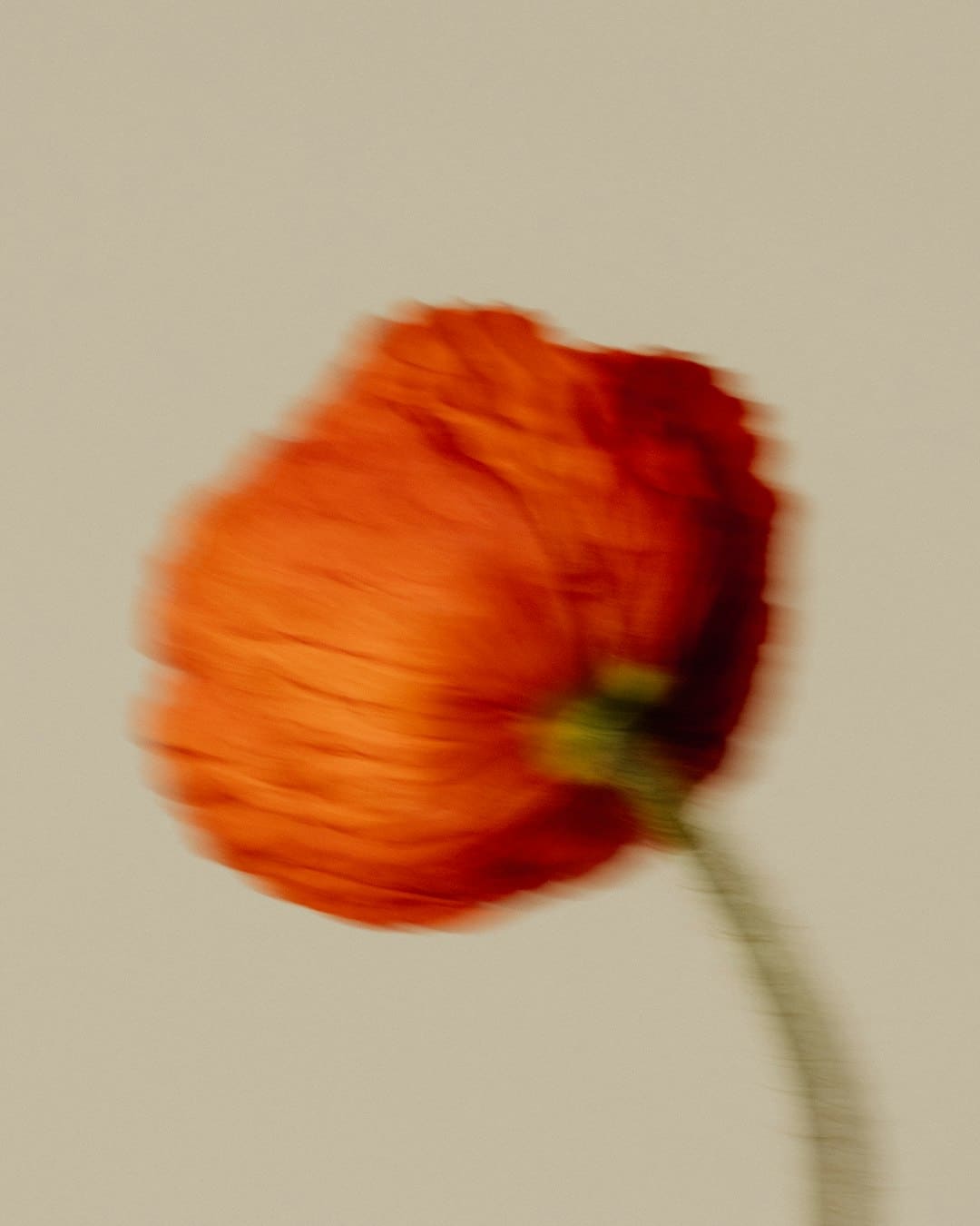 https://img1.utuku.imgcdc.com/511x0/news/20250905/d3c7f6ef-0659-42e2-9294-a3c18e353b97.jpg